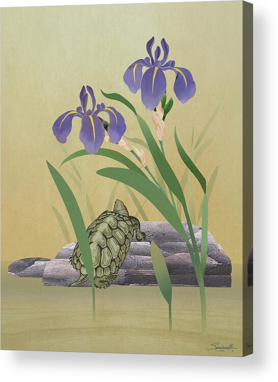 Turtle Acrylic Print featuring the digital art Turtle and Iris by M Spadecaller