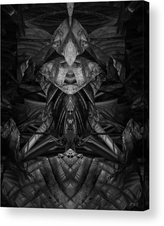 Black And White Acrylic Print featuring the photograph Untitled XXIII BW by David Gordon
