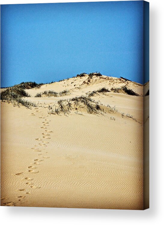 Dune Acrylic Print featuring the photograph Up the Dune by Sarah Lilja
