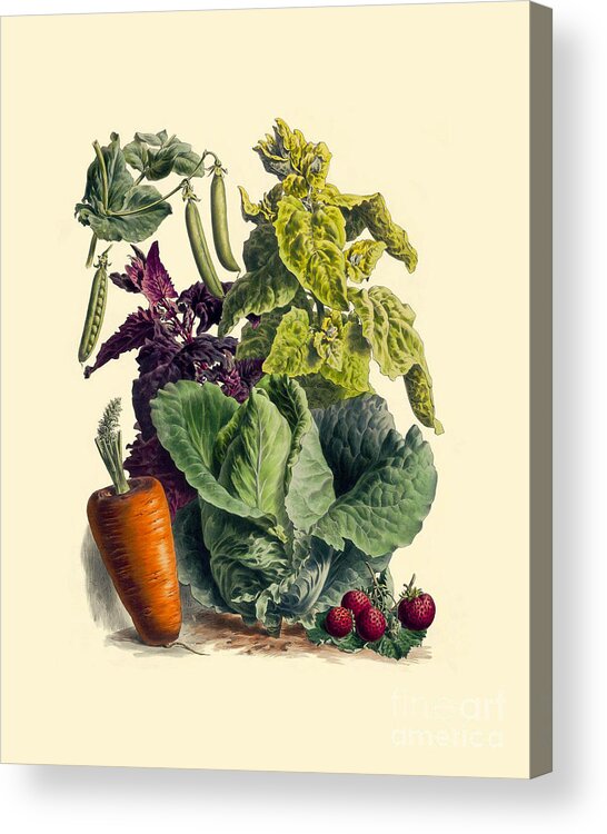 Vegetables Acrylic Print featuring the digital art Veggie Lover by Madame Memento