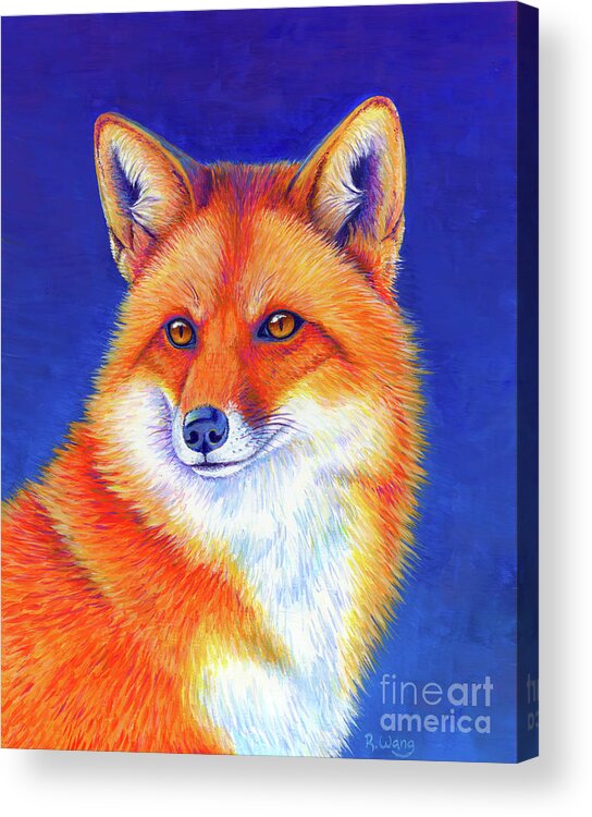 Red Fox Acrylic Print featuring the painting Vibrant Flame - Colorful Red Fox by Rebecca Wang