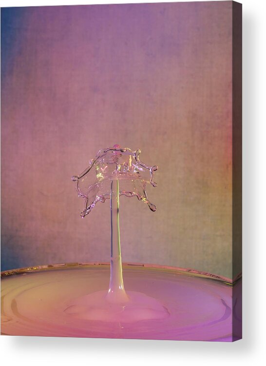 Abstract Acrylic Print featuring the photograph Pretty in Pink by Sue Leonard