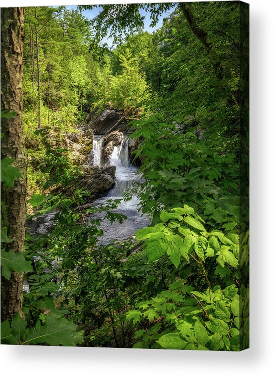 Adventure Acrylic Print featuring the photograph Waterfall in the Woods by Mike Whalen