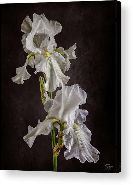 White Iris Acrylic Print featuring the photograph White Irises by Endre Balogh