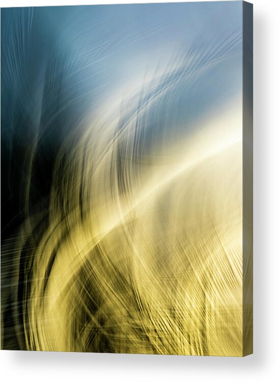 Icm Acrylic Print featuring the photograph Wind Blown by Shelby Erickson