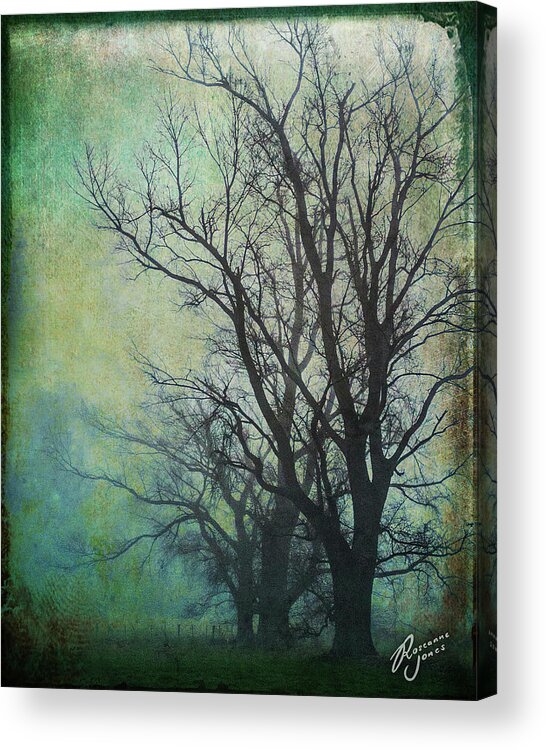 Tree Acrylic Print featuring the photograph Winter Gloom by Roseanne Jones