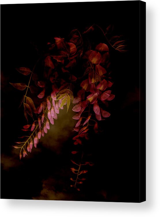 Wisteria Acrylic Print featuring the photograph Wisteria Red by Marsha Tudor