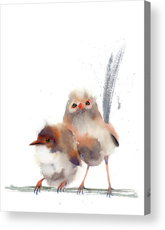 Wren Birds Acrylic Print featuring the painting Wren Birds art print by Paintis Passion