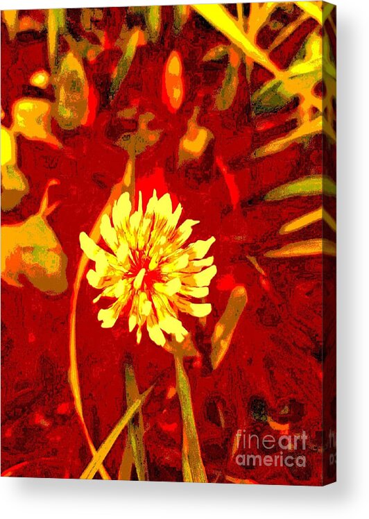 Clover Acrylic Print featuring the digital art Yellow Clover by Tracey Lee Cassin