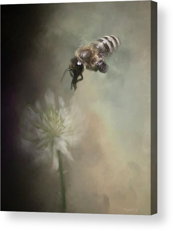 Textures Acrylic Print featuring the photograph Yellow Jacket in Clover by Marjorie Whitley