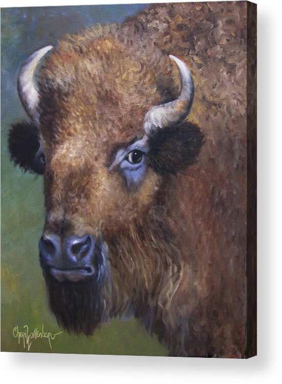 Bison Acrylic Print featuring the painting Young Bison From Stratford Oklahoma an Original Artwork by Cheri Wollenberg by Cheri Wollenberg