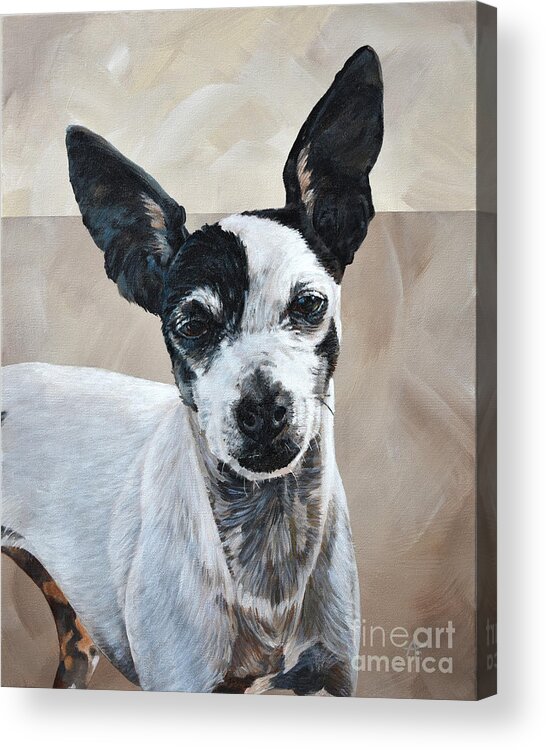Dog Acrylic Print featuring the painting Zoe - Dog Pet Portrait by Annie Troe