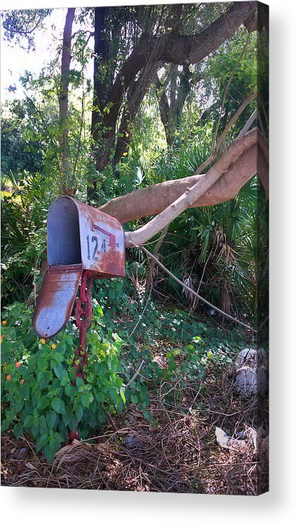 Steve Sperry Mighty Sight Studio Photo Art Mailbox Chain Rustic Natural Decaying Objects Acrylic Print featuring the photograph 124 Nowhere by Steve Sperry