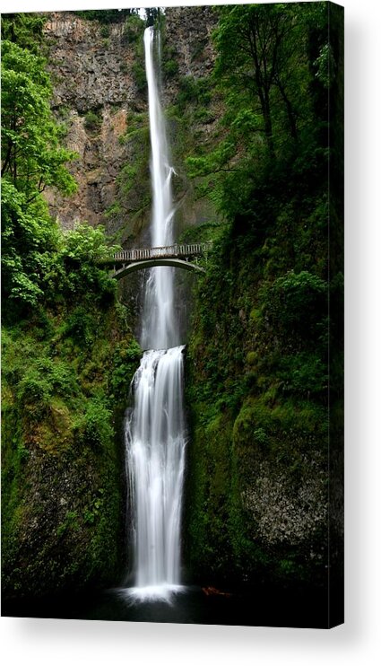 Multnomah Acrylic Print featuring the photograph Multnomah Falls at Columbia River Gorge by Jetson Nguyen