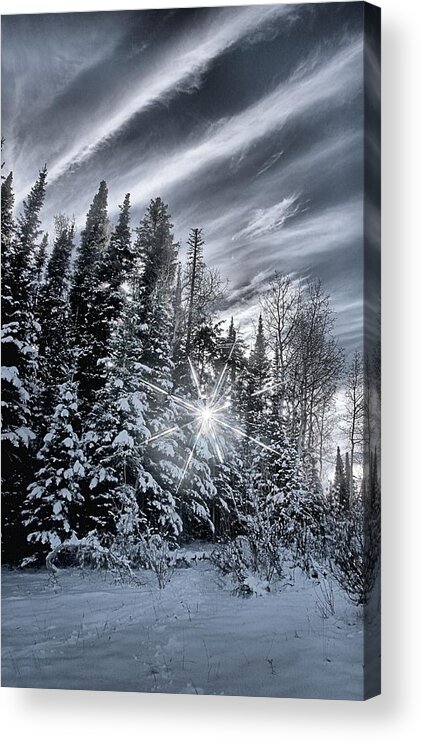 Star Acrylic Print featuring the photograph Winter Star by David Andersen