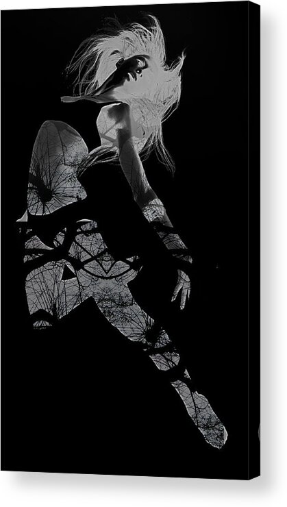 Dancing Acrylic Print featuring the photograph Gliding by Naxart Studio