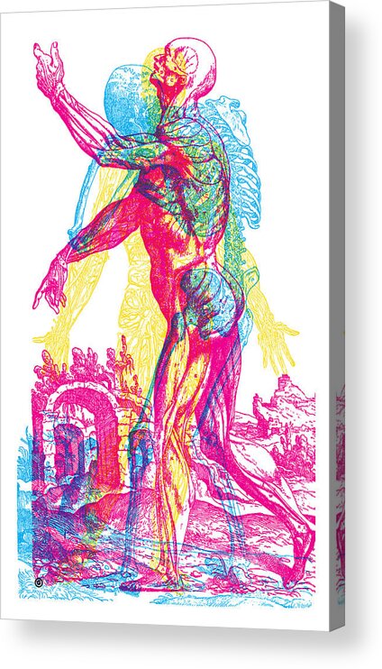 Antique Acrylic Print featuring the painting Andreae Vesalii Anatomy 1 by Gary Grayson