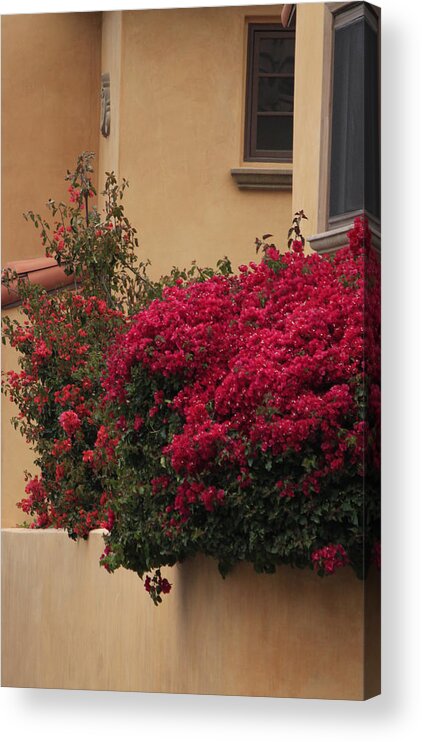 Bacony Acrylic Print featuring the photograph Beautiful Balcony with Bougainvillea by Ivete Basso Photography