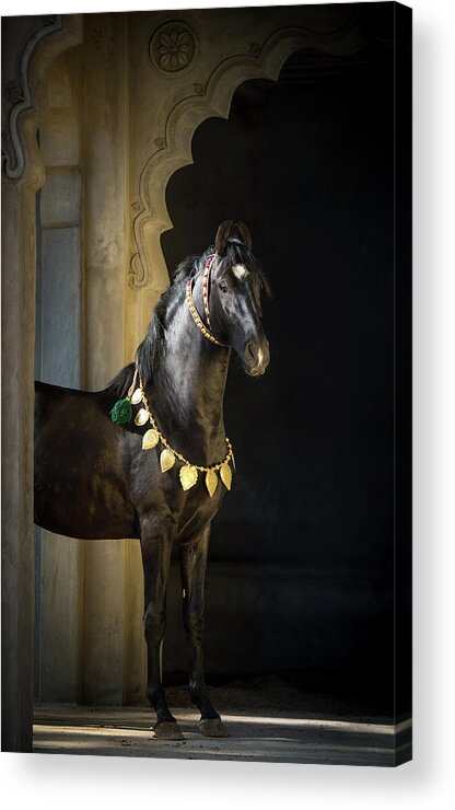 Russian Artists New Wave Acrylic Print featuring the photograph Black Prince by Ekaterina Druz