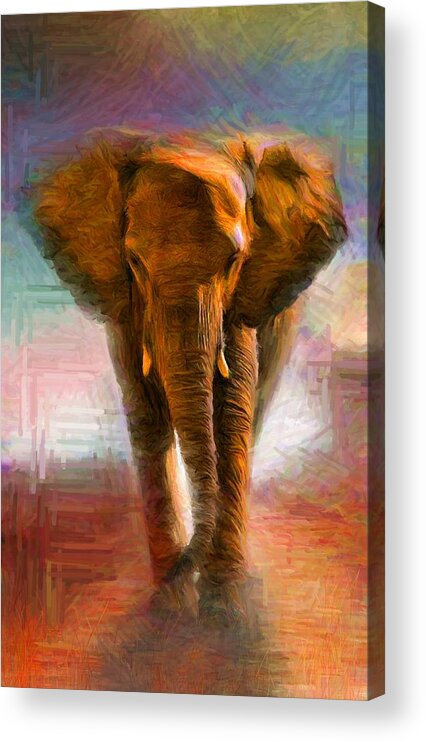 Animals Acrylic Print featuring the digital art Elephant 1 by Caito Junqueira