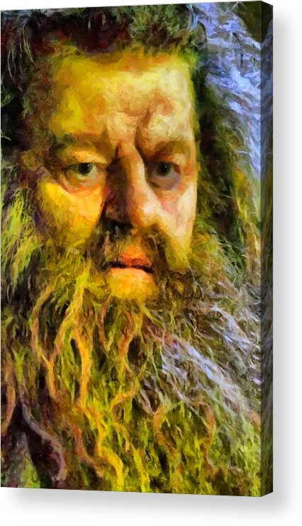 Hagrid Acrylic Print featuring the digital art Hagrid by Caito Junqueira