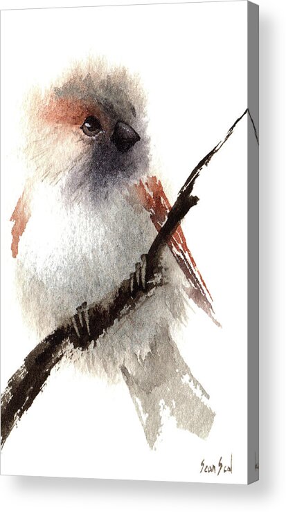 House Sparrow Acrylic Print featuring the painting House Sparrow by Sean Seal