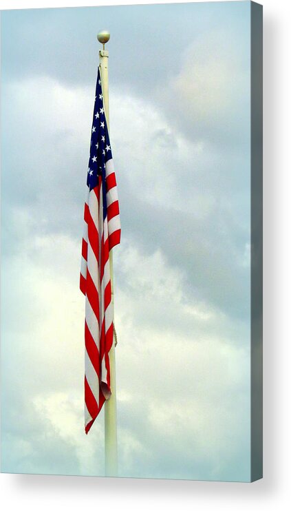 Flag Acrylic Print featuring the photograph Hug A Veteran by Lori Lafargue