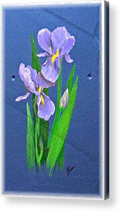 Acrylic-on-slate Acrylic Print featuring the painting Irises by Jim Harris