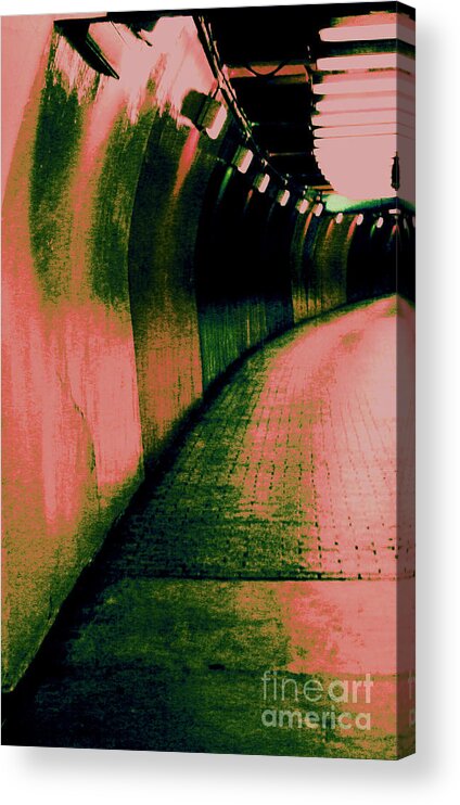 Tunnel Acrylic Print featuring the photograph No Life Seen by Julie Lueders 