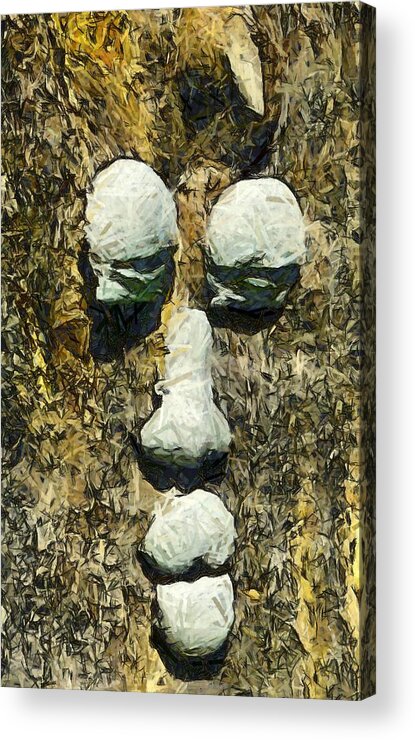 Tree Acrylic Print featuring the photograph Old Man In The Tree by Floyd Snyder