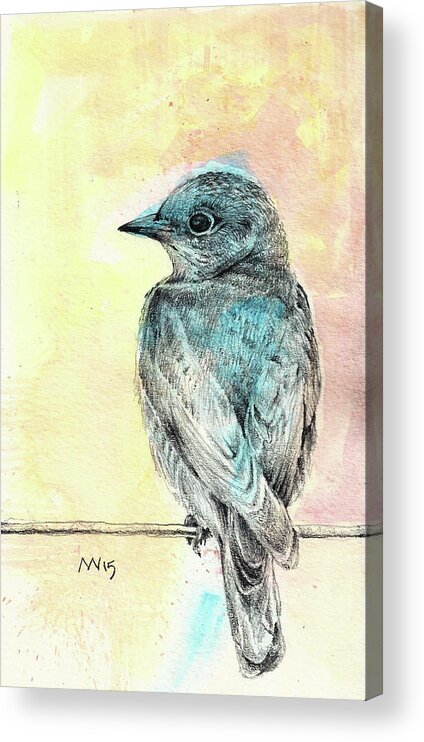 Bluebird Acrylic Print featuring the mixed media Spring Bluebird by AnneMarie Welsh