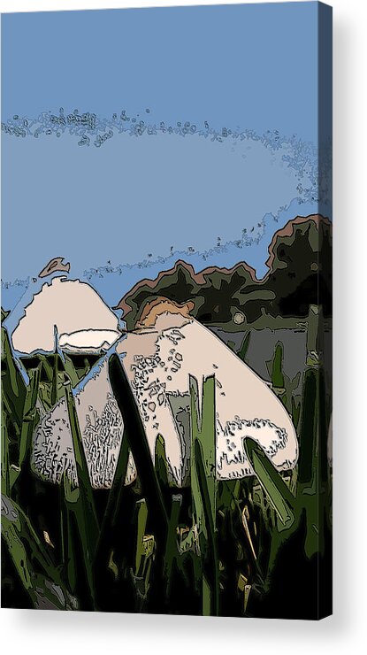 Landscape Acrylic Print featuring the photograph Toad Stools by James Rentz