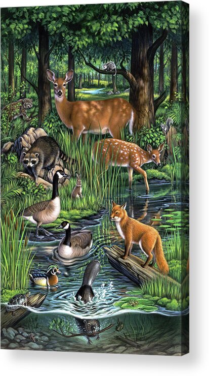 Animals Acrylic Print featuring the painting Woodland by Jerry LoFaro