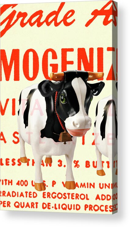 Agriculture Acrylic Print featuring the drawing Cow #1 by CSA Images