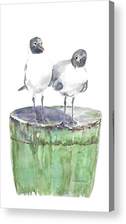 Sea Gulls Acrylic Print featuring the painting Blackface Gulls by Claudette Carlton