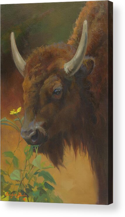 Wildlife Acrylic Print featuring the painting Spring on the Range by Carolyne Hawley