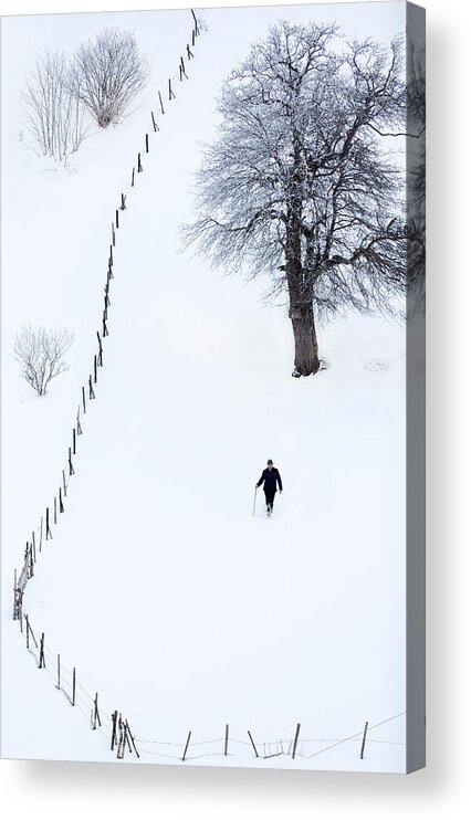 Landscape Acrylic Print featuring the photograph Winter by Durmusceylan