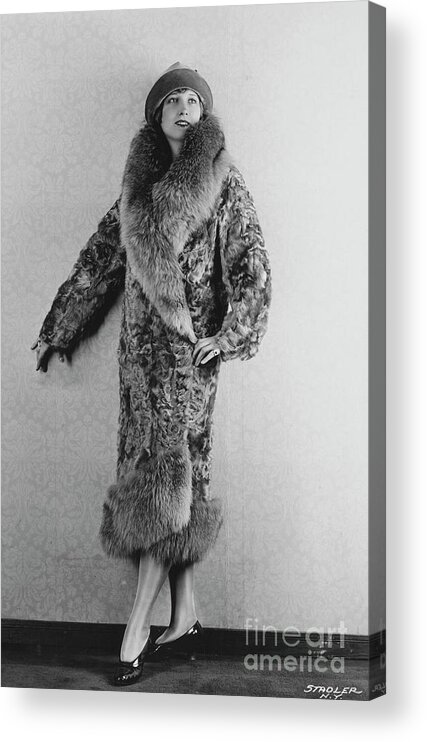 People Acrylic Print featuring the photograph Woman Modeling Lamb Coat Trimmed by Bettmann