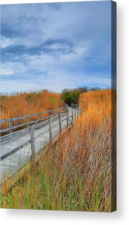 Boardwalk Acrylic Print featuring the photograph Boardwalk Trail Through Back Bay National Wildlife Refuge by Ola Allen