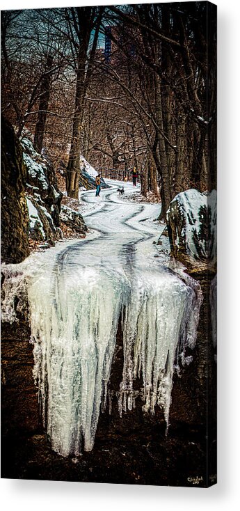 Trail Acrylic Print featuring the photograph End of the Trail by Chris Lord