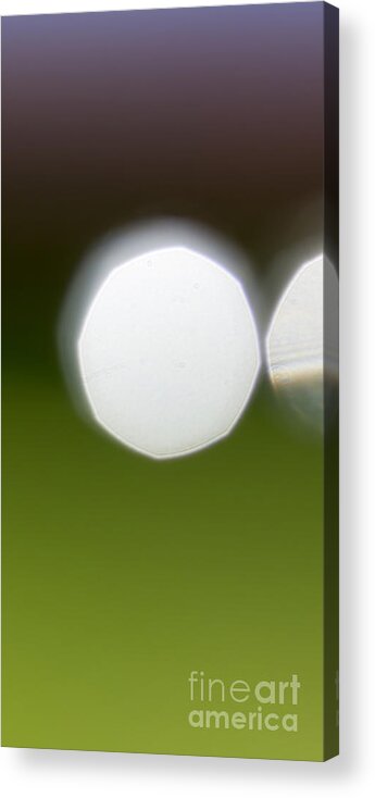 Triptych Acrylic Print featuring the photograph Water Drop Sparkles Abstract Triptych - Image 1 of 3 by Natalie Kinnear