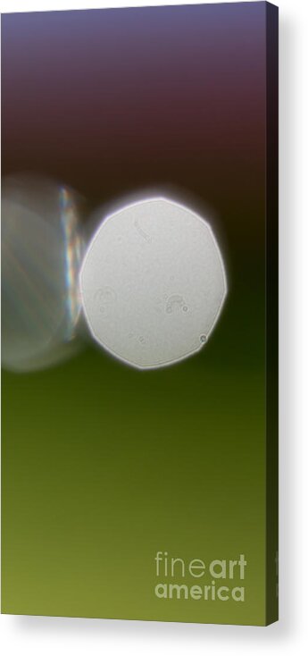 Triptych Acrylic Print featuring the photograph Water Drop Sparkles Abstract Triptych - Image 3 of 3 by Natalie Kinnear