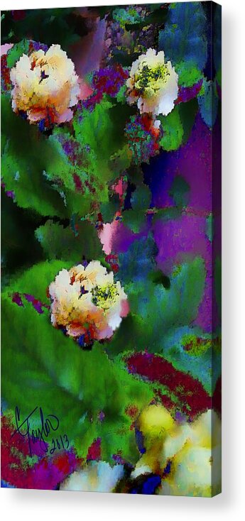 Jasmine Flowers Acrylic Print featuring the digital art Wild Jasmine by Colleen Taylor