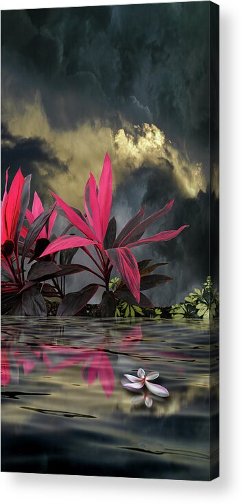Leaves Acrylic Print featuring the photograph 4332 by Peter Holme III