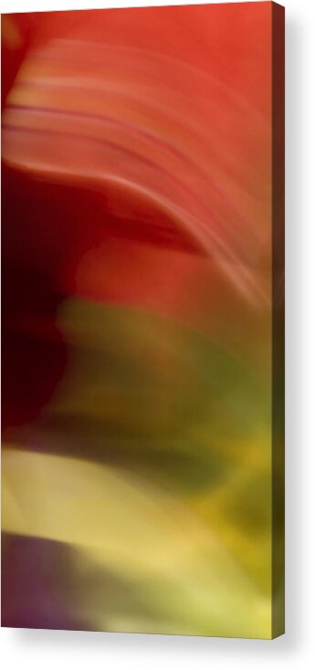 Abstract Acrylic Print featuring the photograph Advent II by Margaret Denny