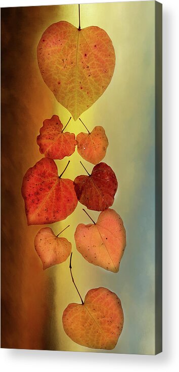 Fall Acrylic Print featuring the photograph Fall Leaves #2 by Rebecca Cozart