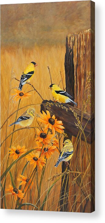 Song Birds Acrylic Print featuring the painting Golden Treasures by Johanna Lerwick