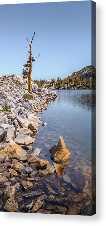 California Acrylic Print featuring the photograph Pine and Rock by Alexander Kunz