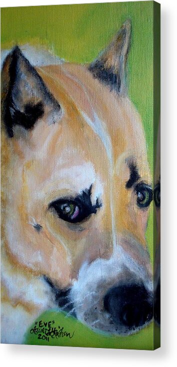 Dog Acrylic Print featuring the painting Pit Bull- Eve by Laura Grisham