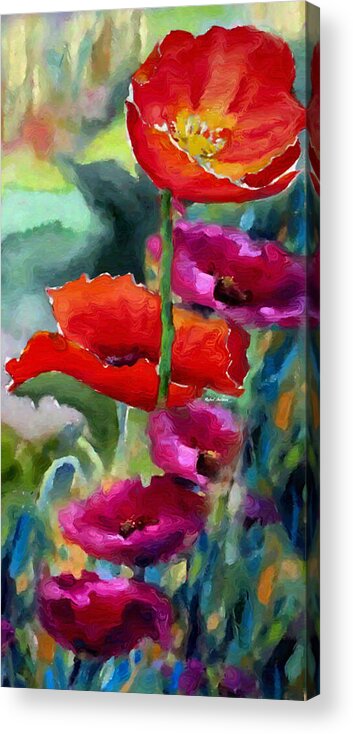 Rafael Salazar Acrylic Print featuring the painting Poppies in watercolor by Rafael Salazar